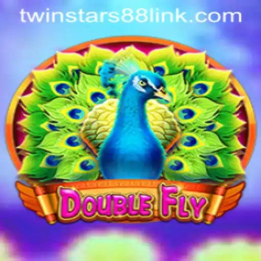 The Exciting World of DoubleFly: A Closer Look at Twinstar88
